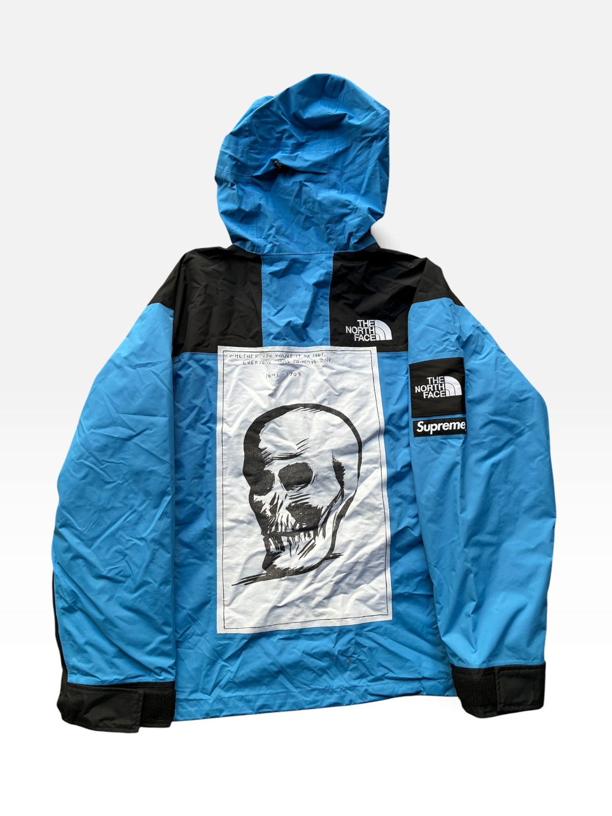Supreme x The North Face mountain jacket (M)