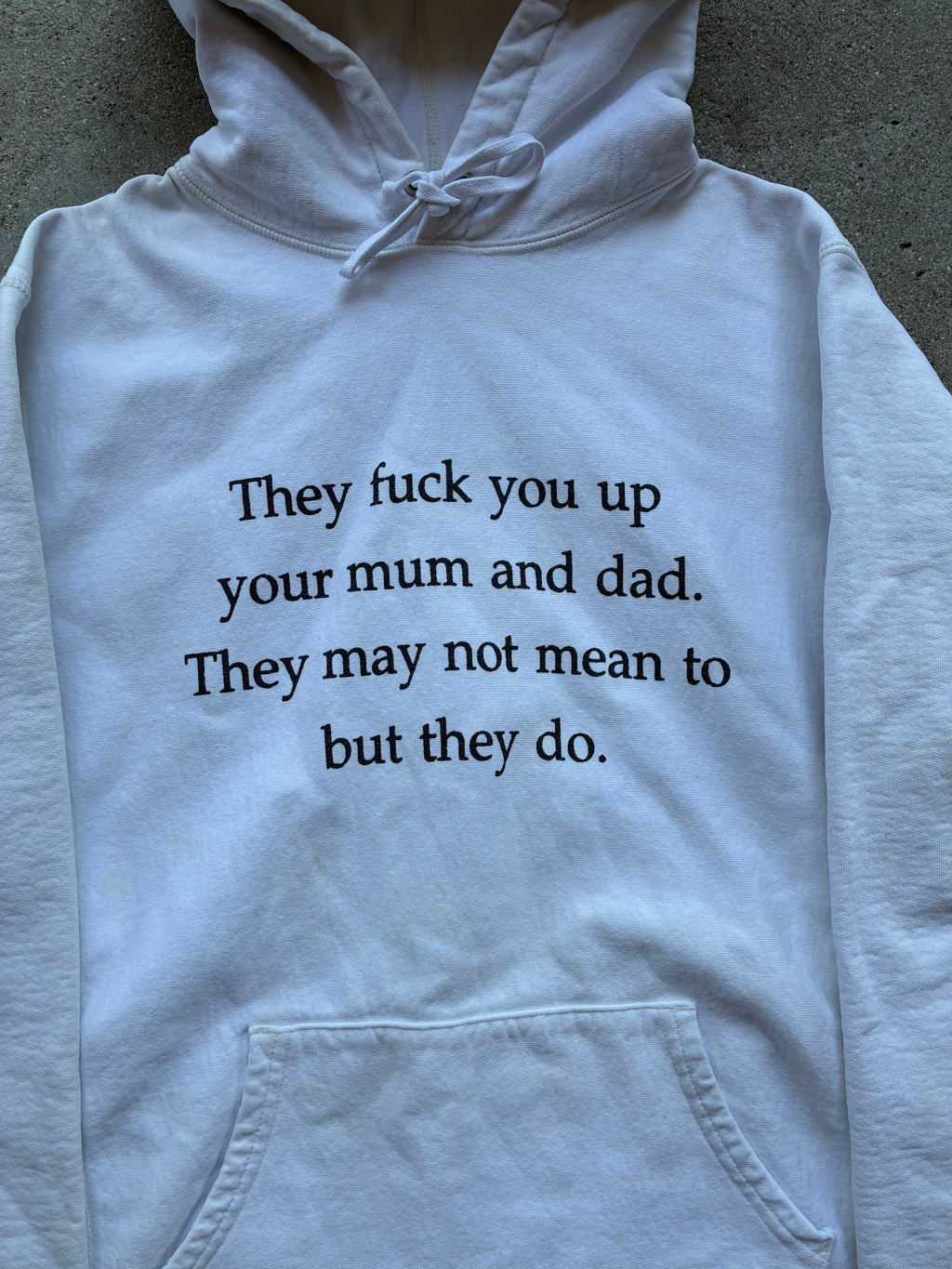 Supreme “THEY F*CK YOU UP” Hoodie (L)