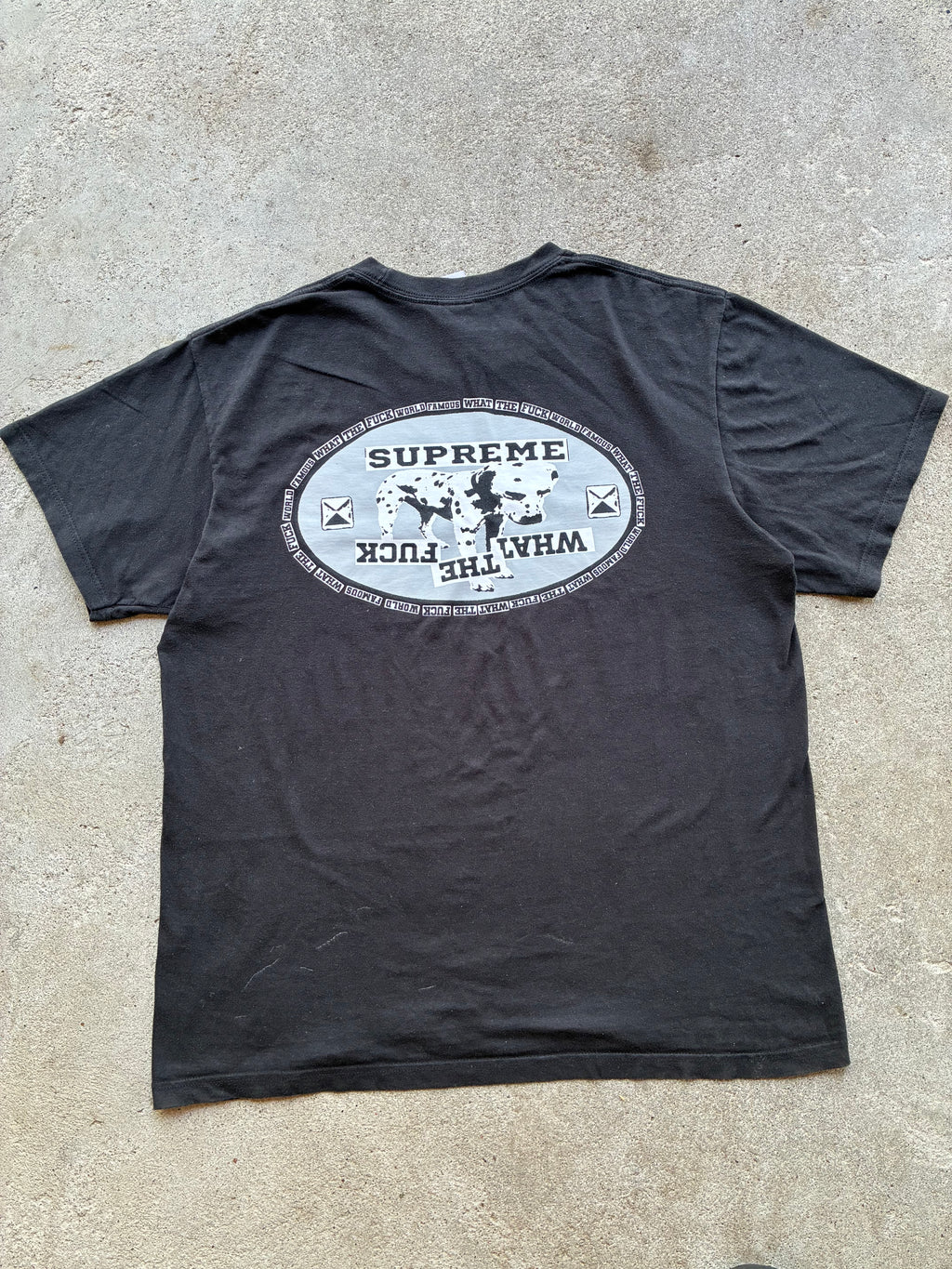 Supreme “DALMATIAN BLACK SS25” tee (M)