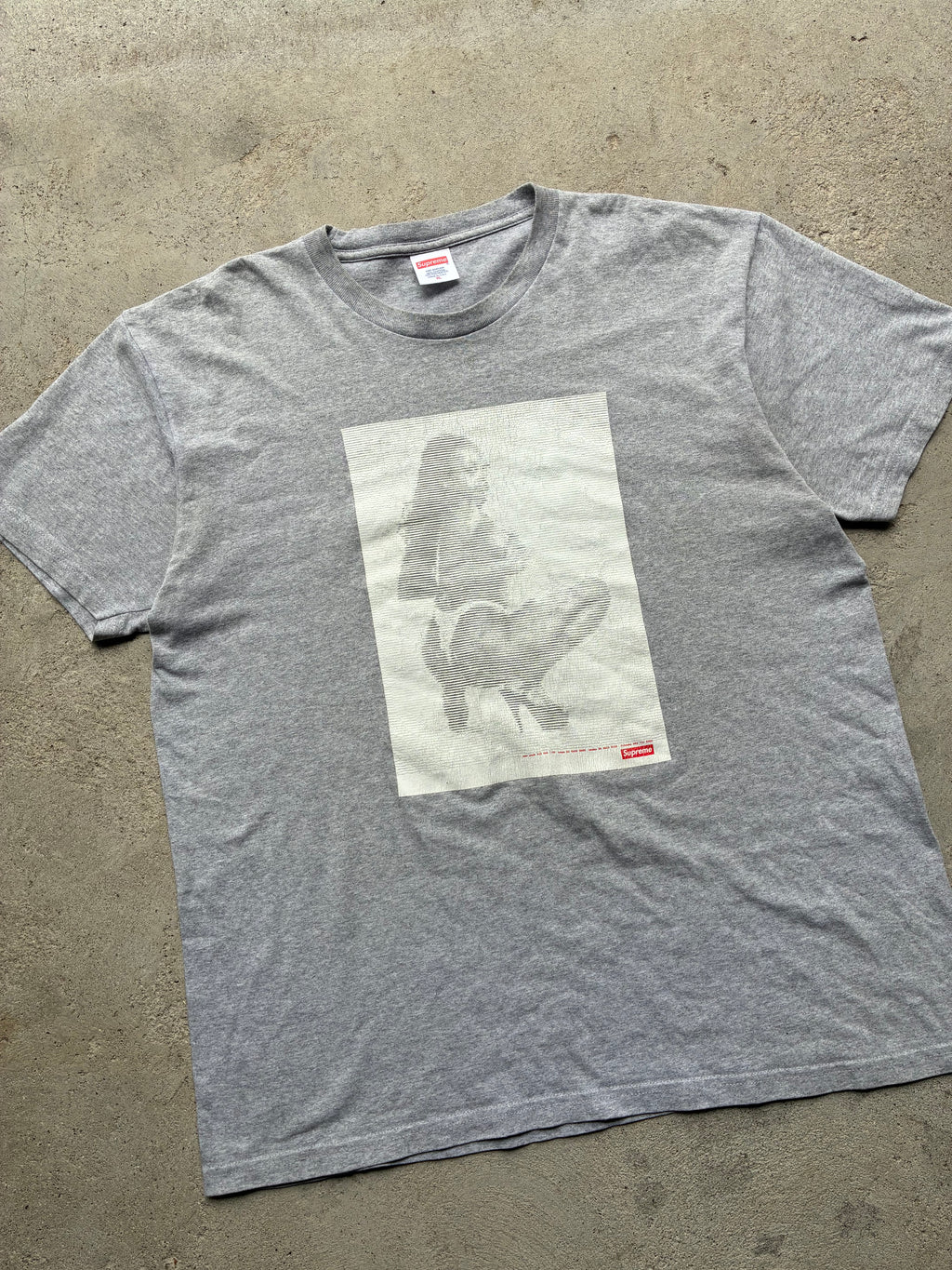 Supreme “DIGI HEATHER SS17” Tee (XL