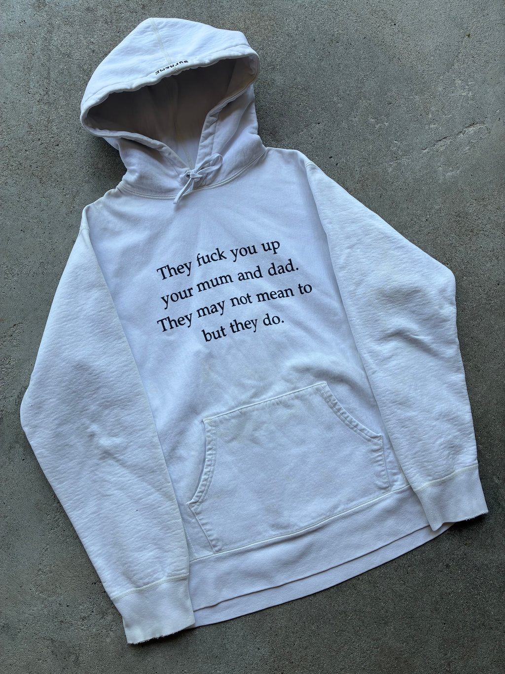 Supreme “THEY F*CK YOU UP” Hoodie (L)