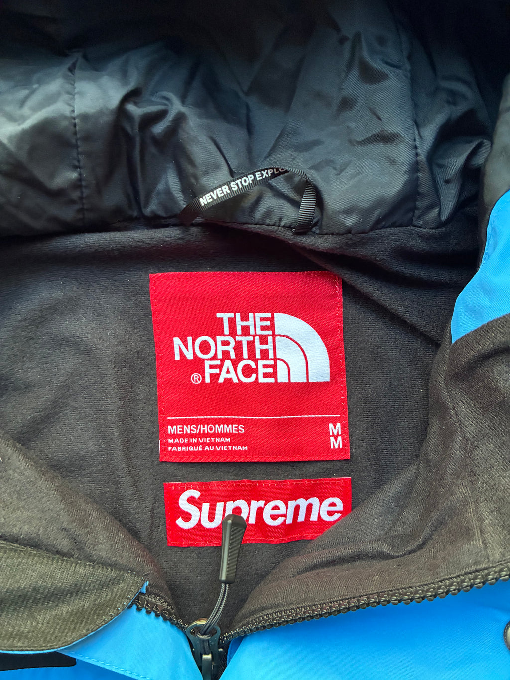 Supreme x The North Face mountain jacket (M)