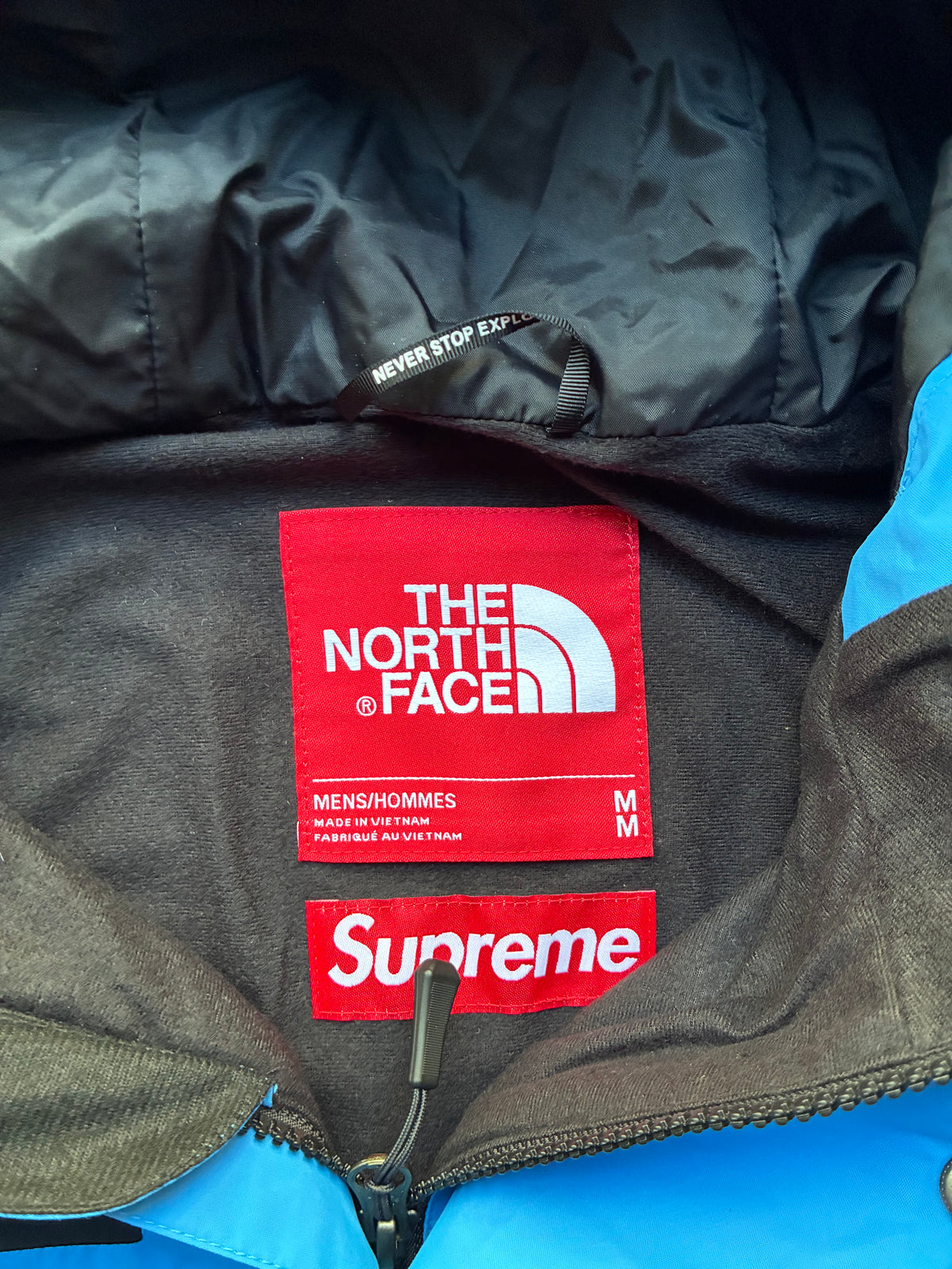 Supreme x The North Face mountain jacket (M)