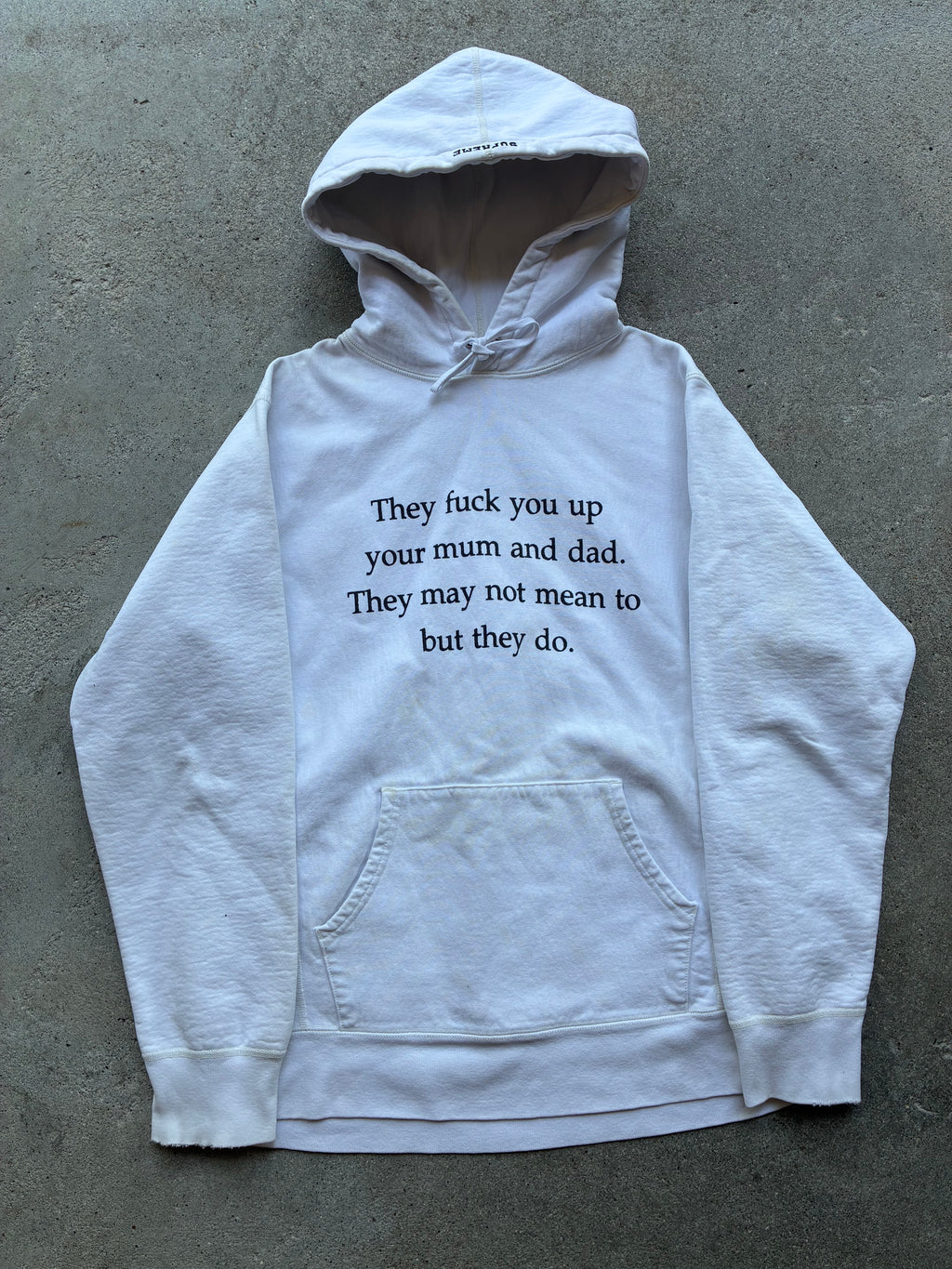 Supreme “THEY F*CK YOU UP” Hoodie (L)