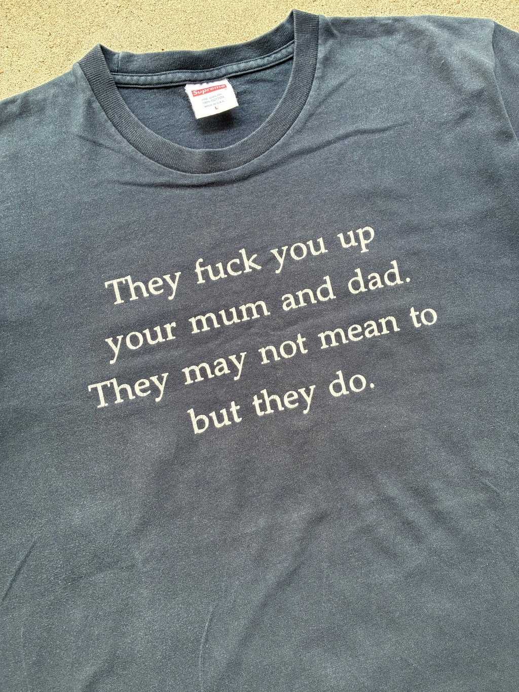 Supreme “THEY FUCK YOU UP” Tee (L)
