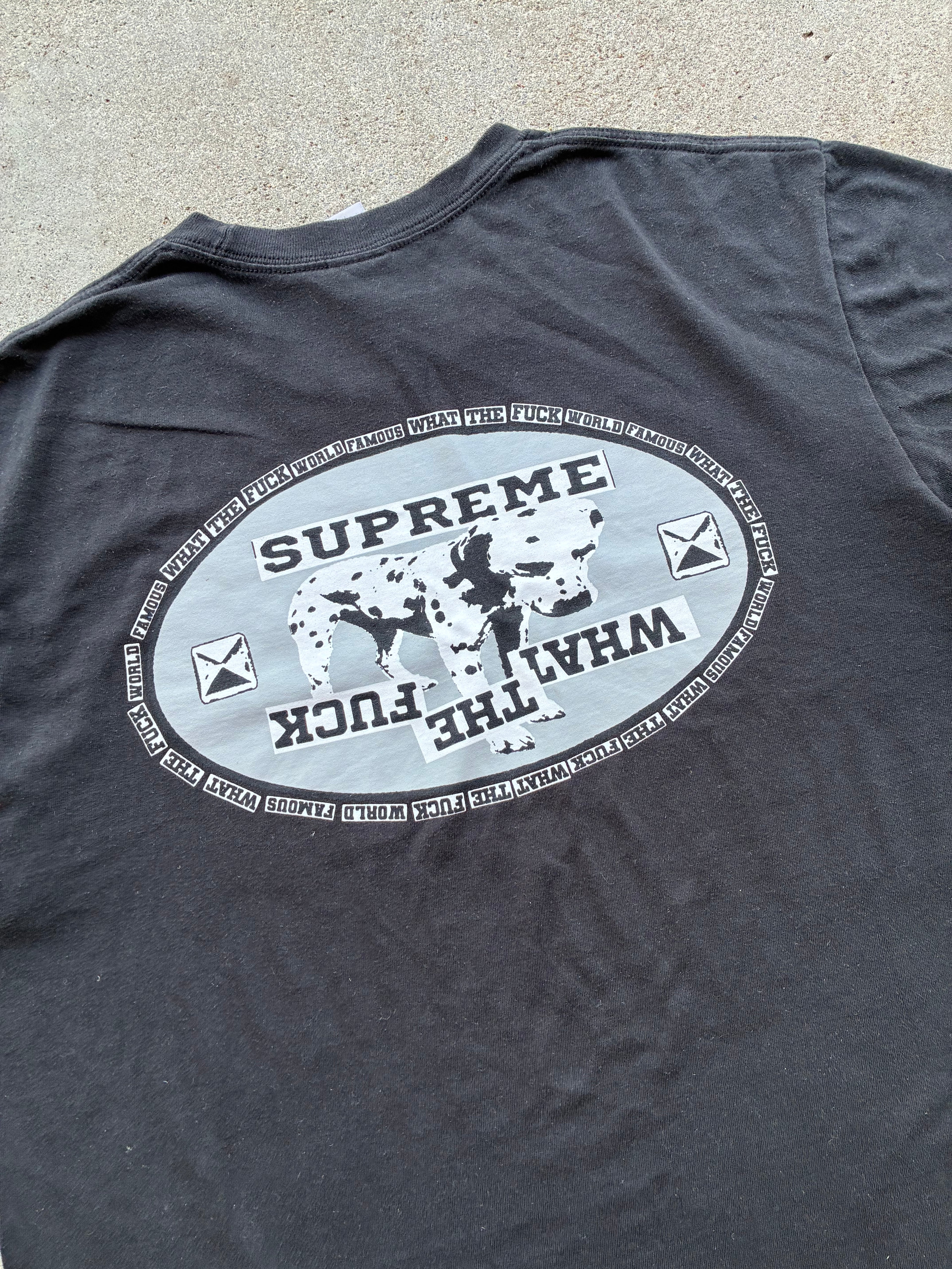 Supreme “DALMATIAN BLACK SS25” tee (M)