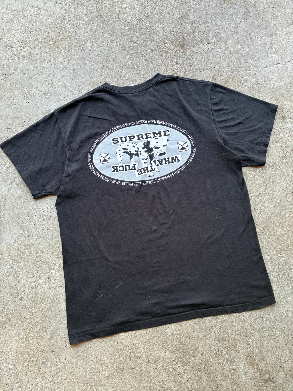 Supreme “DALMATIAN BLACK SS25” tee (M)