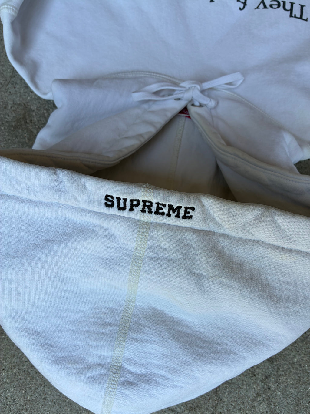 Supreme “THEY F*CK YOU UP” Hoodie (L)